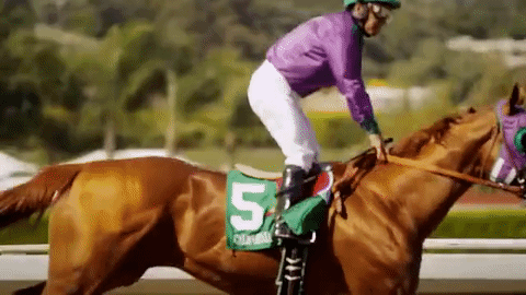 pmumalin horse race